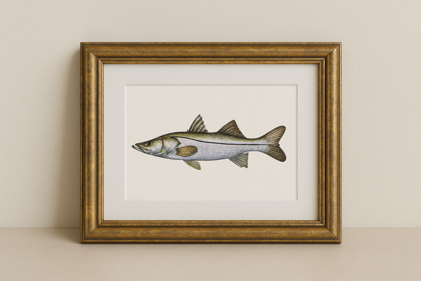 The Snook – Inshore Fish Identifier Print