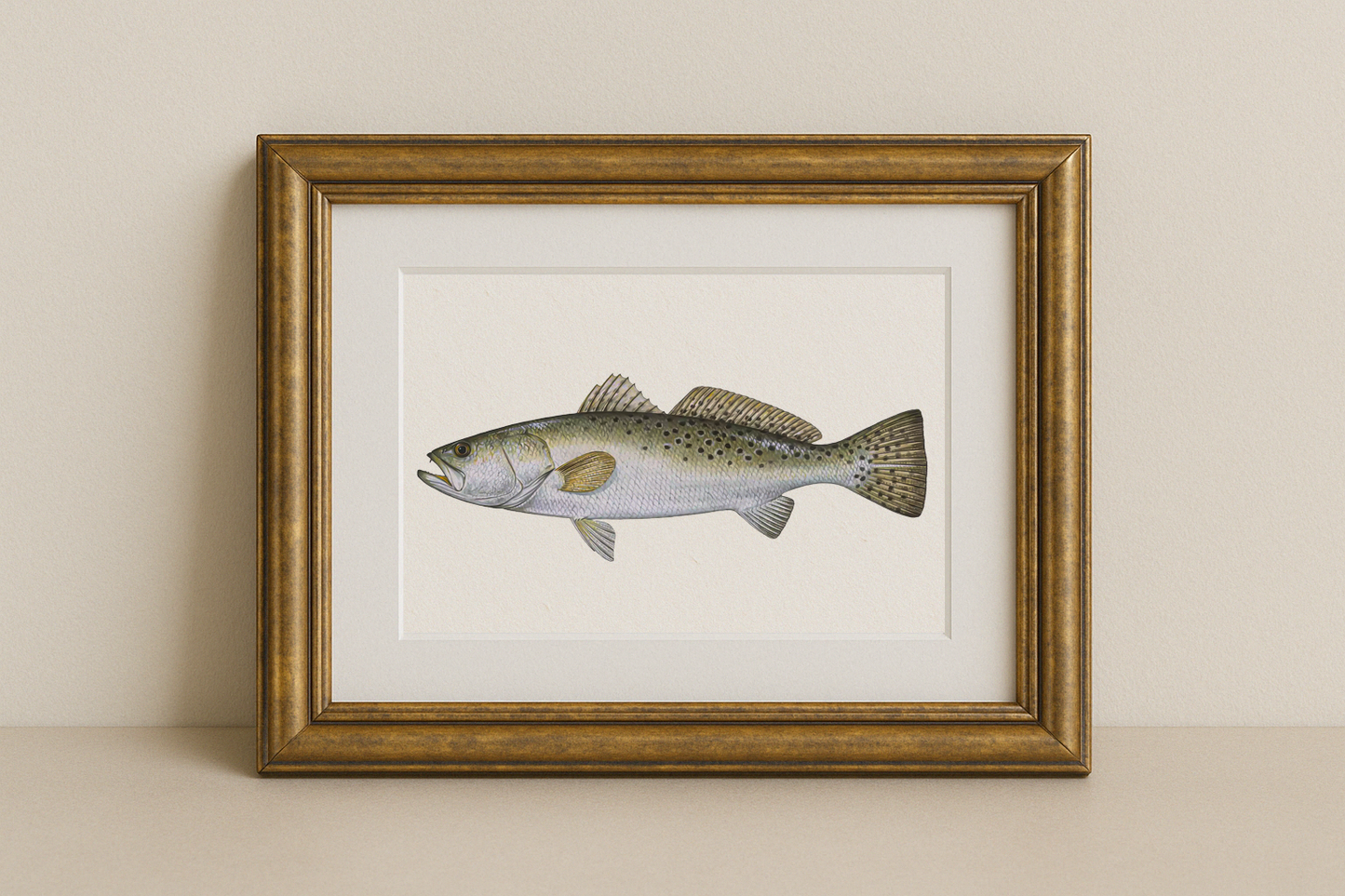 The Speckled Trout – Inshore Fish Identifier Print
